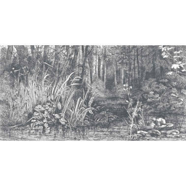 Carta da Parati BUSHY-WOODS DOM1516 - LES DOMINOTIERS