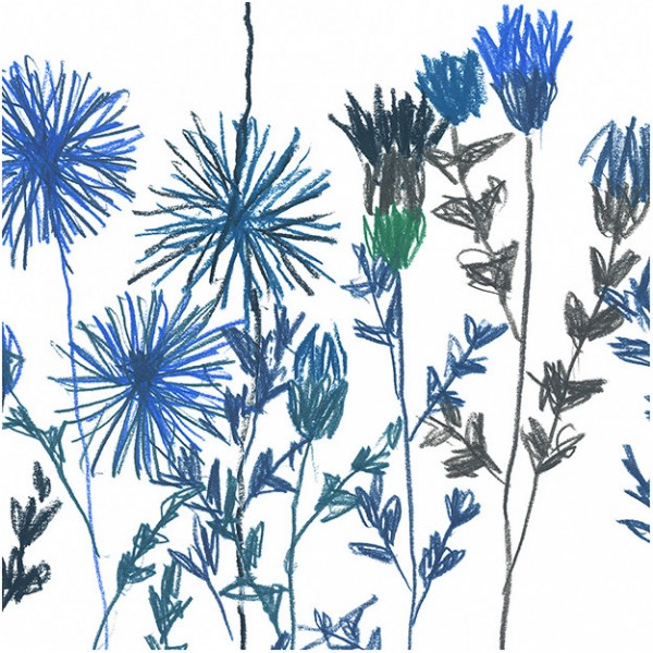 Carta da Parati BLEUETS DOM1519 - LES DOMINOTIERS