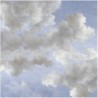 Carta da Parati MONSOON-CLOUDS DOM1515 - LES DOMINOTIERS