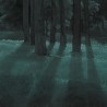 Carta da Parati PINE-TREES DOM1510 - LES DOMINOTIERS