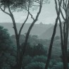 Carta da Parati PINE-TREES DOM1510 - LES DOMINOTIERS
