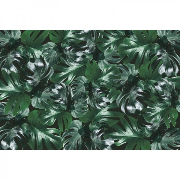 Carta da Parati R13042 Welcome to the Jungle, Authentic - REBEL WALLS