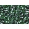 Carta da Parati R13042 Welcome to the Jungle, Authentic - REBEL WALLS