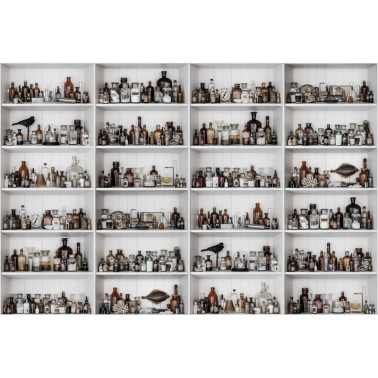 Carta da Parati R14182 Cabinet of Curios, Raw - REBEL WALLS