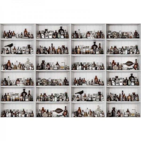 Papel de parede R14182 Cabinet of Curios, Raw - REBEL WALLS Papel de parede R14182 Cabinet of Curios, Raw - REBEL WALLS