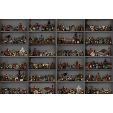 Carta da Parati R14184 Cabinet of Curios, Night - REBEL WALLS