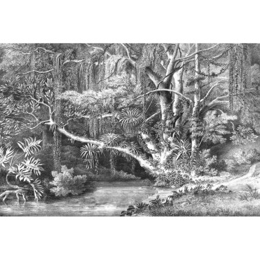 Papier peint R16851 Secret Well - REBEL WALLS