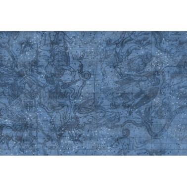 Carta da Parati R16921 Star Map - REBEL WALLS