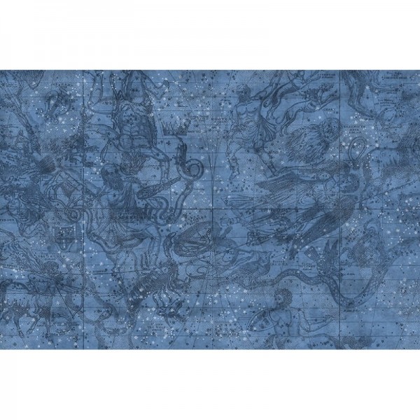 Carta da Parati R16921 Star Map - REBEL WALLS Carta da Parati R16921 Star Map - REBEL WALLS