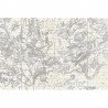 Papel de parede R16922 Star Map, White - REBEL WALLS