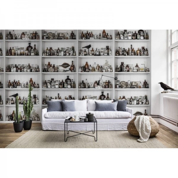 Carta da Parati R14182 Cabinet of Curios, Raw - REBEL WALLS