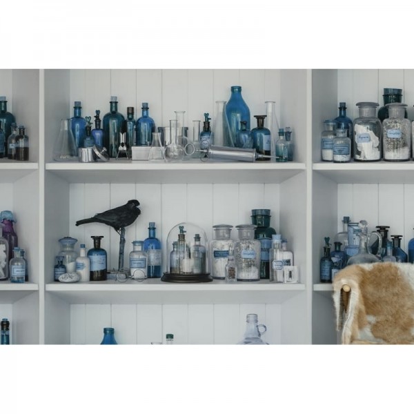 Carta da Parati R14183 Cabinet of Curios, Sapphire - REBEL WALLS