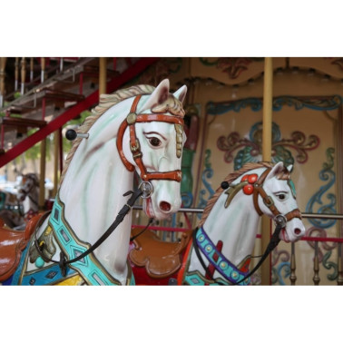 Carta da Parati R11881 Carousel - REBEL WALLS