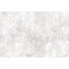 Carta da Parati R15992 Fresco Wall - REBEL WALLS