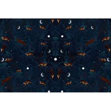 Tapete R16181 Space Monkey - REBEL WALLS