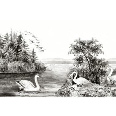 Carta da Parati R16221 Swan Lake - REBEL WALLS