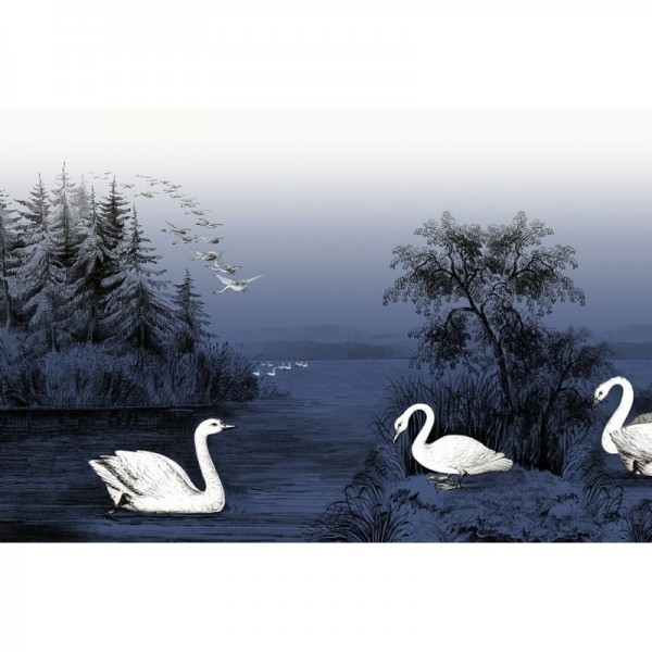 Carta da Parati R16222 Swan Lake, Nightfall - REBEL WALLS Carta da Parati R16222 Swan Lake, Nightfall - REBEL WALLS