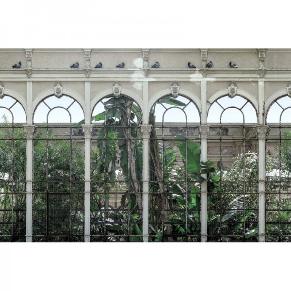 Carta da Parati R16261 Dove Gardens - REBEL WALLS Carta da Parati R16261 Dove Gardens - REBEL WALLS