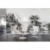 Carta da Parati R16221 Swan Lake - REBEL WALLS