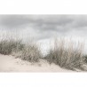 Papel de parede R16341 Pale Shore - REBEL WALLS