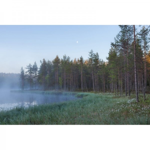 Papel de parede R16421 Forest Lake - REBEL WALLS Papel de parede R16421 Forest Lake - REBEL WALLS
