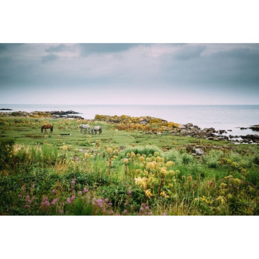 Tapete R16471 Bareback - REBEL WALLS