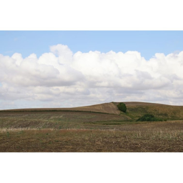 Papel de parede R16481 Cropland - REBEL WALLS