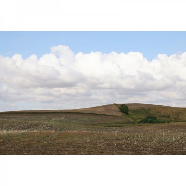 Tapete R16481 Cropland - REBEL WALLS Tapete R16481 Cropland - REBEL WALLS