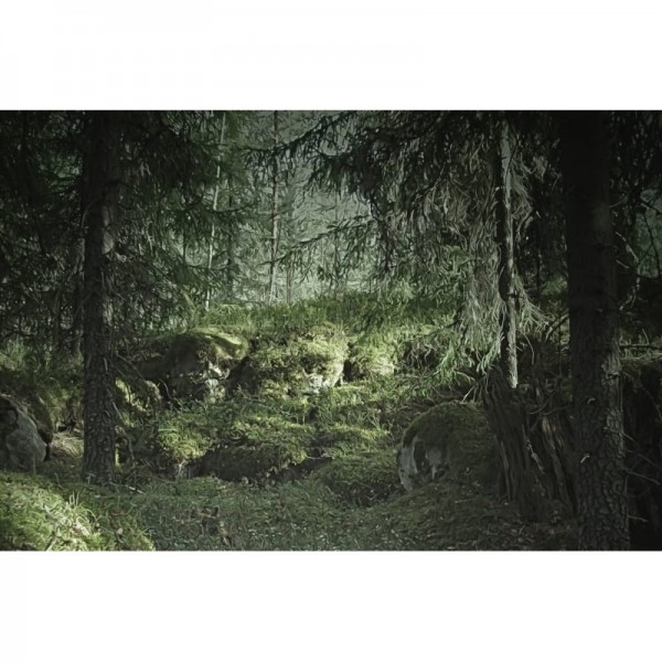 Papel de parede R16531 Virgin Forest - REBEL WALLS Papel de parede R16531 Virgin Forest - REBEL WALLS
