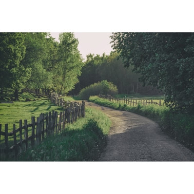 Carta da Parati R16541 Wooden Fence - REBEL WALLS