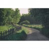 Papier peint R16541 Wooden Fence - REBEL WALLS