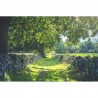Papier peint R16651 Early Summer - REBEL WALLS