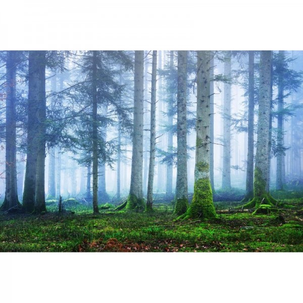 Papier peint R16661 Blue Forest - REBEL WALLS Papier peint R16661 Blue Forest - REBEL WALLS