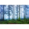 Papel de parede R16661 Blue Forest - REBEL WALLS