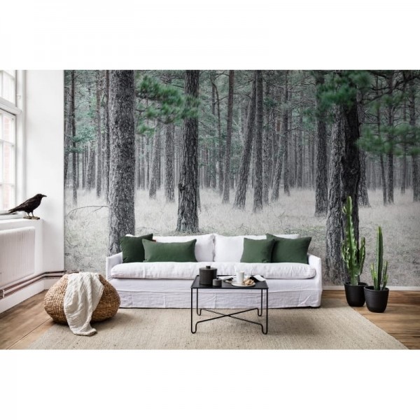 Wallpaper R13711 Pine Forest - REBEL WALLS