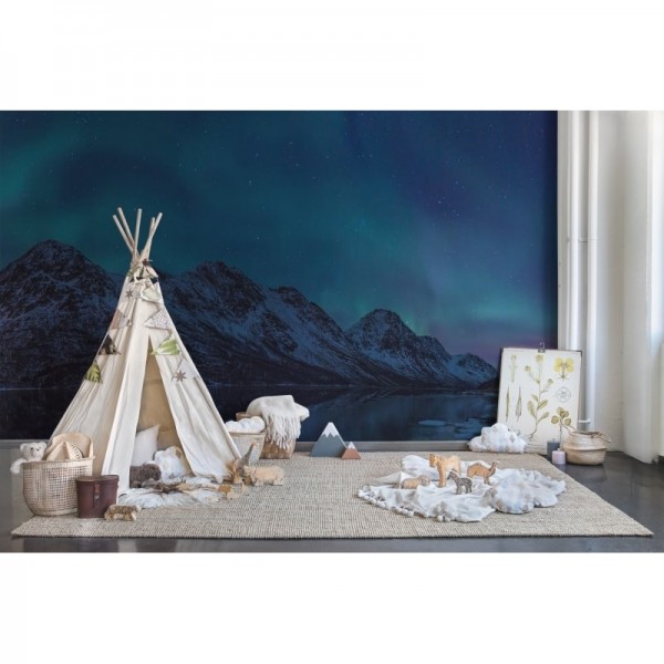 Carta da Parati R16491 Northern Lights - REBEL WALLS