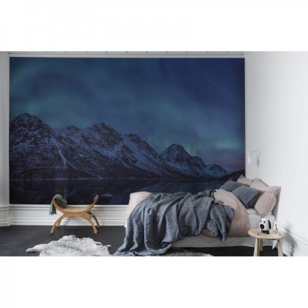Carta da Parati R16491 Northern Lights - REBEL WALLS