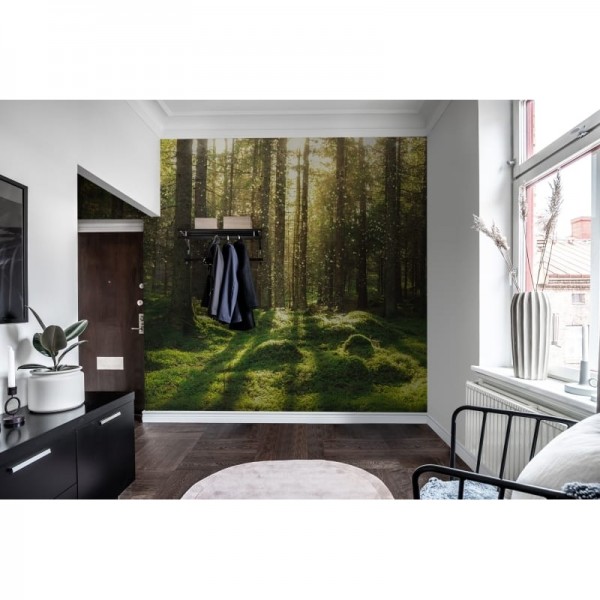 Tapete R16641 Forest Bath - REBEL WALLS