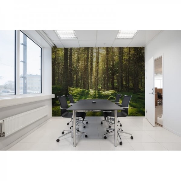Tapete R16641 Forest Bath - REBEL WALLS