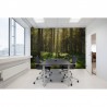 Tapete R16641 Forest Bath - REBEL WALLS