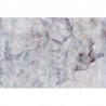 Carta da Parati METAMORFOSI GLEV103A - GLAMORA