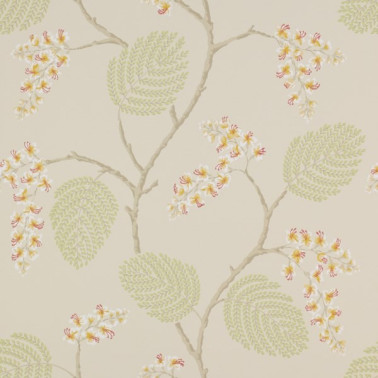 Wallpaper CFW7141-05 ATWOOD - COLEFAX AND FOWLER
