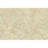 CESAP GL5083A