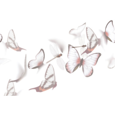 Carta da Parati FLUTTERBY GL6091A - GLAMORA