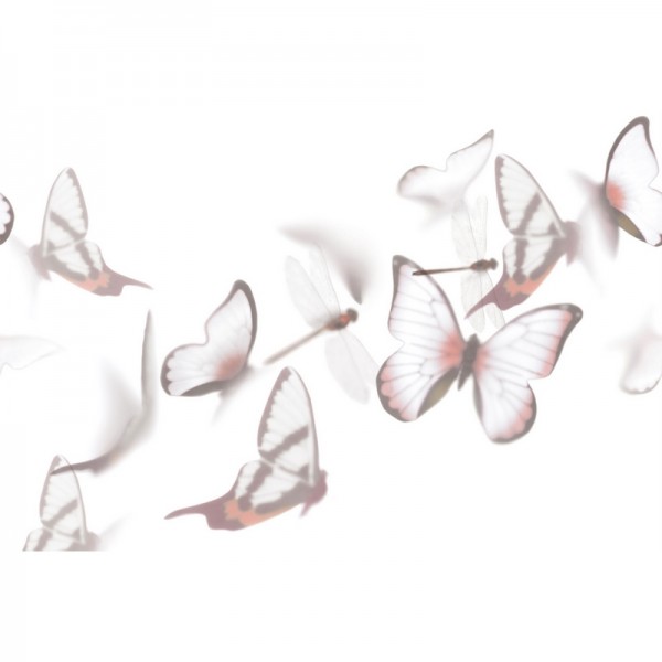Papel de parede FLUTTERBY GL6091A - GLAMORA