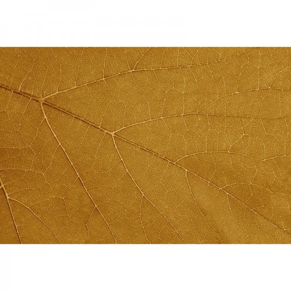Papel Pintado FOUR SEASONS GL2032A - GLAMORA Papel Pintado FOUR SEASONS GL2032A - GLAMORA