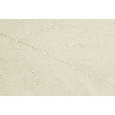 Carta da Parati FOUR SEASONS GL2033A - GLAMORA
