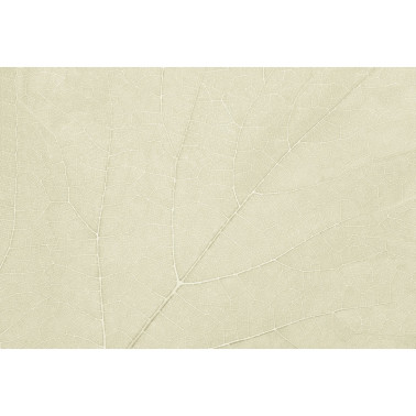 Papel de parede FOUR SEASONS GL2033B - GLAMORA