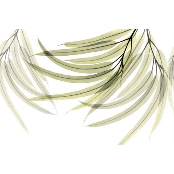 Papel de parede GREEN FINGERS GL6071B - GLAMORA Papel de parede GREEN FINGERS GL6071B - GLAMORA