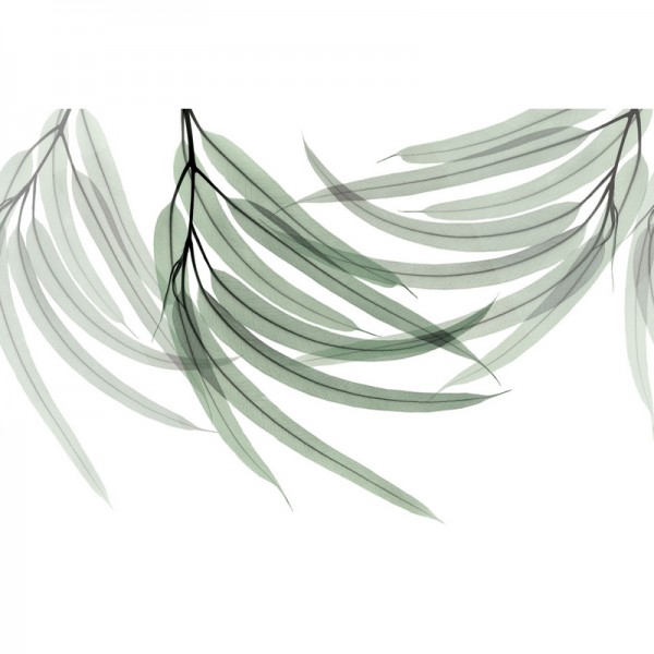 Papier peint GREEN FINGERS GL6074A - GLAMORA Papier peint GREEN FINGERS GL6074A - GLAMORA